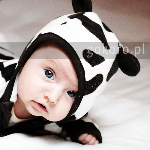 Muuuu