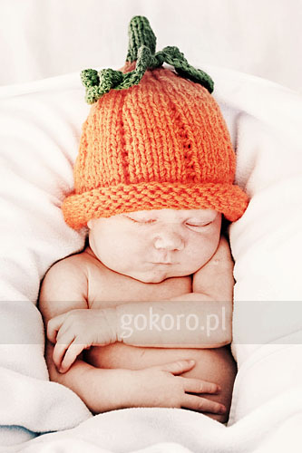 Pumpkin patch